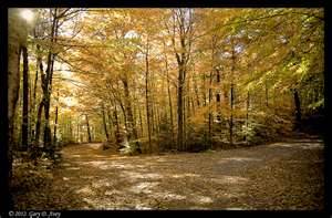 The road less traveled