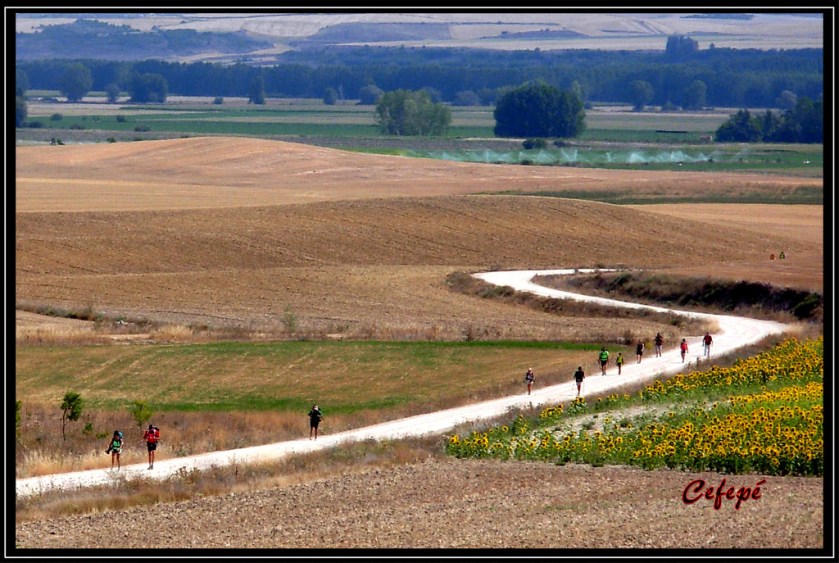 15602033624_4c610f8944_b