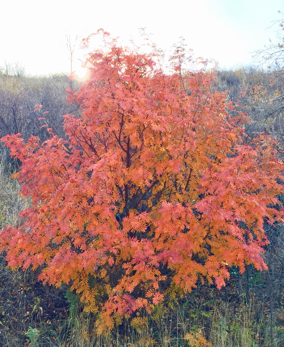 Remembering God’s Grace