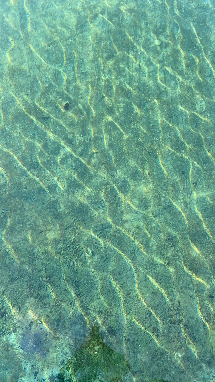 The River of&nbsp;Surrender